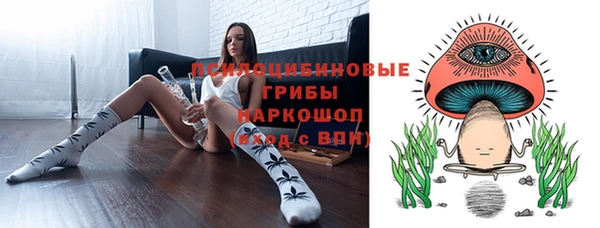 apvp Вязьма