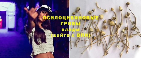 spice Вязники