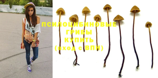 apvp Вязьма