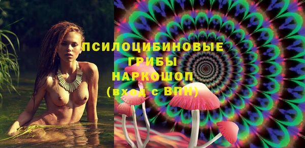 apvp Вязьма