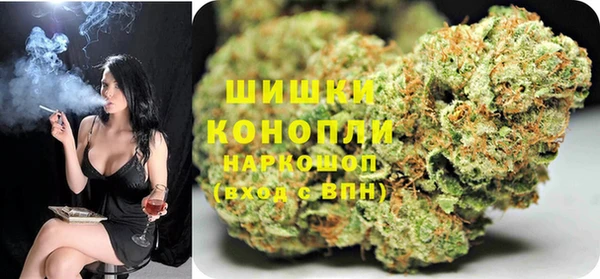 apvp Вязьма