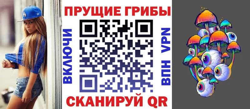 Купить где  Нижняя Салда  Псилоцибиновые грибы Psilocybe 